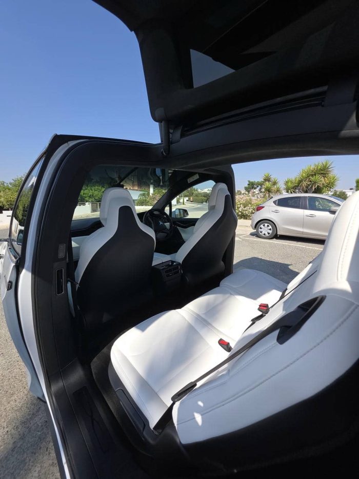 Tesla Model X 100D - Image 3
