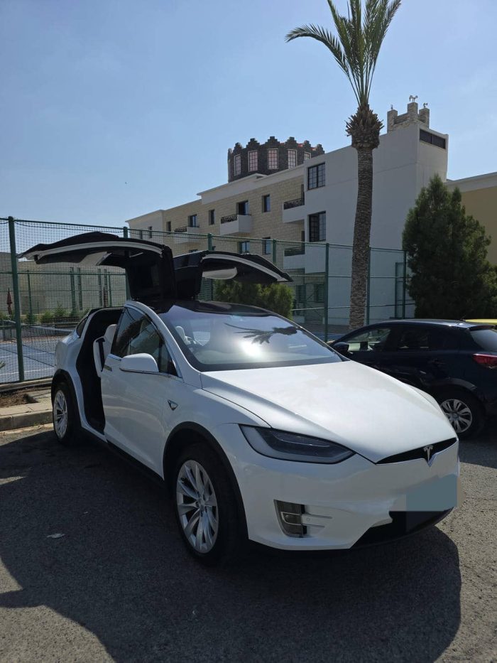 Tesla Model X 100D